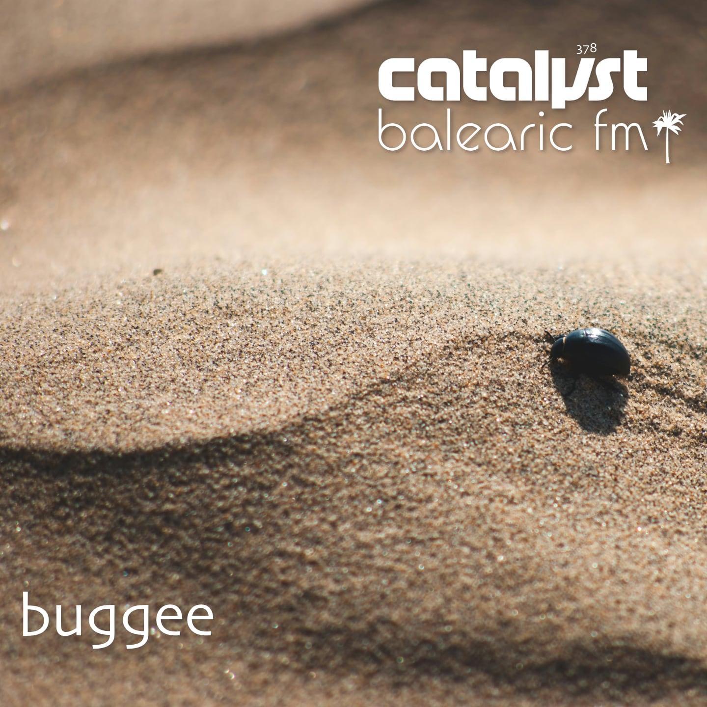 buggee (378) (catalyst)