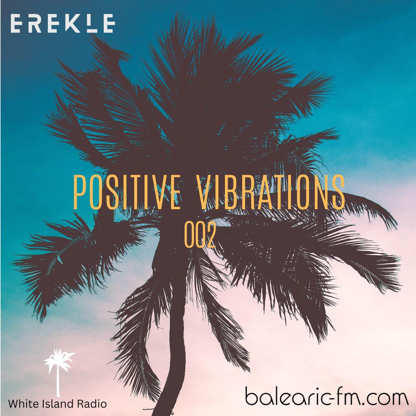 positive vibrations (002) (Erekle)